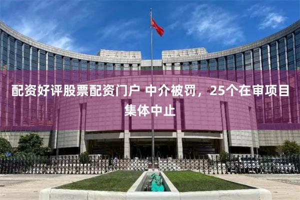 配资好评股票配资门户 中介被罚，25个在审项目集体中止
